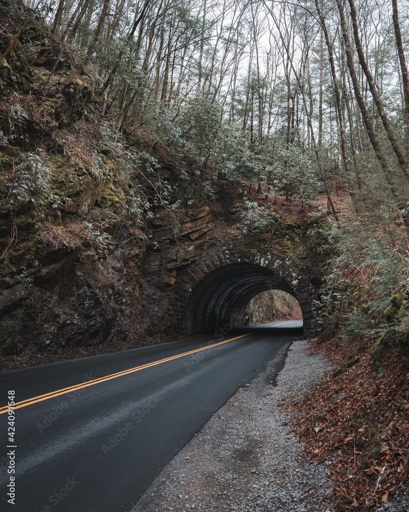 short tunnel on road to cades cove in the great smokey mountain
