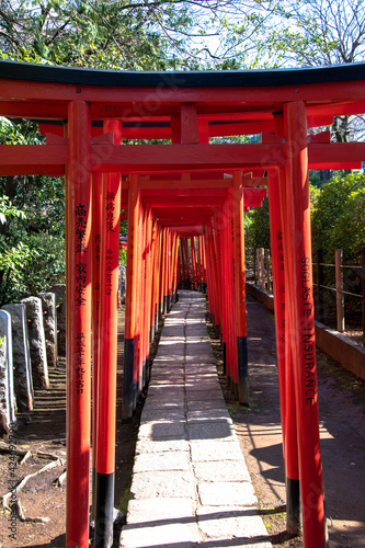 japanese garden gate