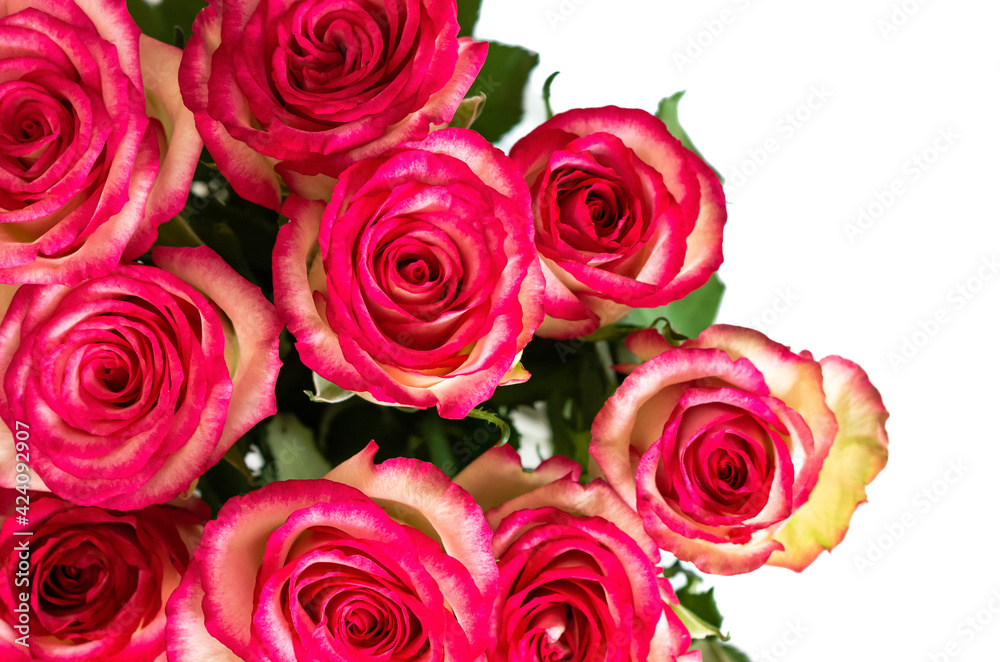 Obraz premium Colorful bouquet of roses on white background for Mother day and Valentine's day concept.