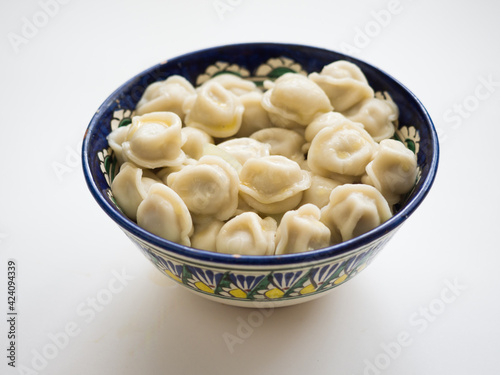 Dumplings in the national dish. Russian and Asian traditional cuisine. Studio photography