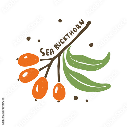 Colorful sea buckthorn illustration with hand drawn lettering isolated on transparent background