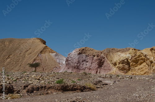 mountain landscape in Timna Park in Israel