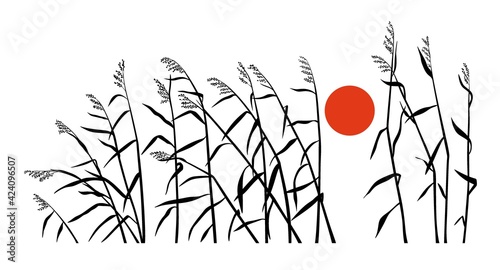 Reed and sunset in a minimalism style. Horizontal vector drawing.
