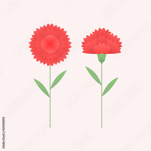 Vector illustration of red carnations. © 지은 이