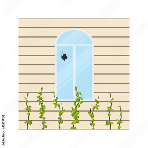 Broken window or glass. Cracked
 or damaged. Sharp shards. Facade of the building with plastic panels and plants. Abandoned house. Vector