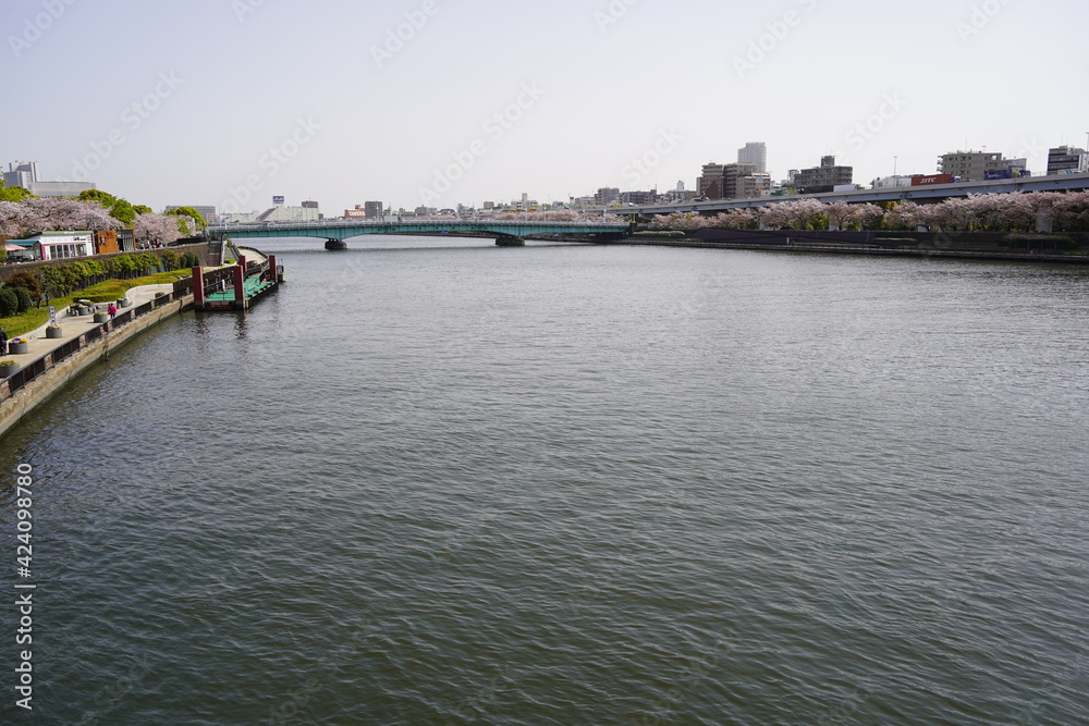 view of the river and cherry blossoms 5