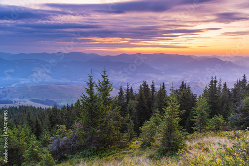 Fototapeta Naklejka Na Ścianę i Meble -  Very beautiful dawn in the Ukrainian Carpathian mountains in summer.