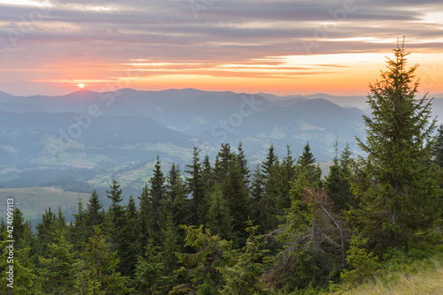 Very beautiful dawn in the Ukrainian Carpathian mountains in summer.