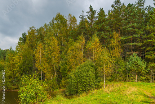 Forest at an autumn day in Belarus