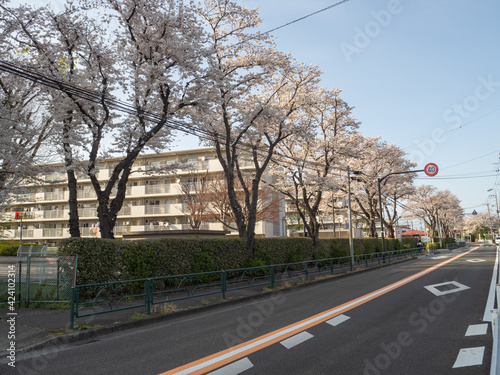road in the city