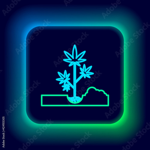 Glowing neon line Planting marijuana or cannabis plant in the ground icon isolated on black background. Marijuana growing concept. Hemp symbol. Colorful outline concept. Vector