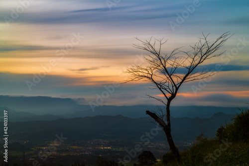 wither glow