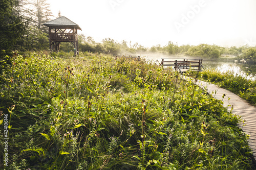 Nature Reserve Zelenci, krajnska gora, Slovenia, Europe. Wonderful morning view of Zelenci nature reserve. Slovenia travel. photo