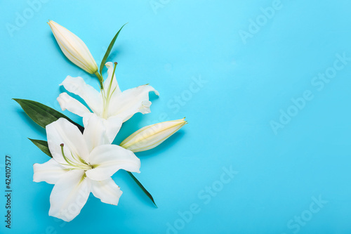 Beautiful lily flowers on color background © Pixel-Shot