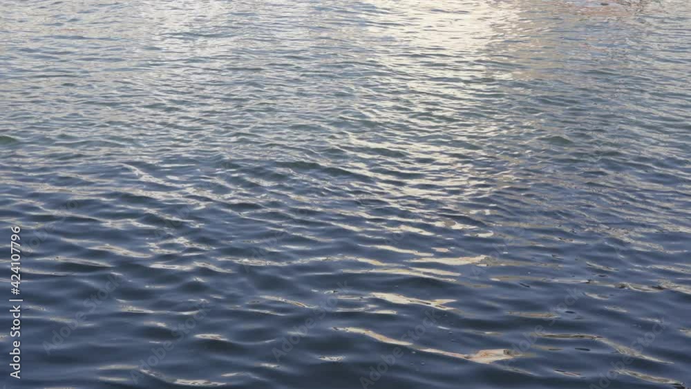 Sumida river spring wave flat Sumida river spring wave flat