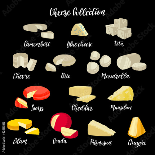 Cheese collection. Different kinds of delicious cheeses.