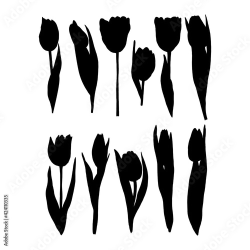 Set of isolated silhouettes of tulips. Vector illustration of spring plants hand-drawn ink on a white background. Flowers, leaves, branches. Botanical elements design.