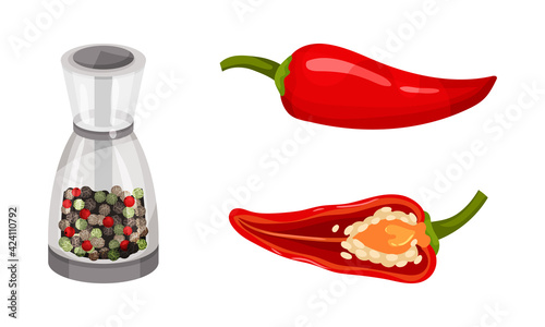 Red Pepper as Ripe Vegetable and Organic Food with Mixed Peppercorn Vector Set