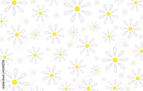 beautiful illustration of daisies on a white background