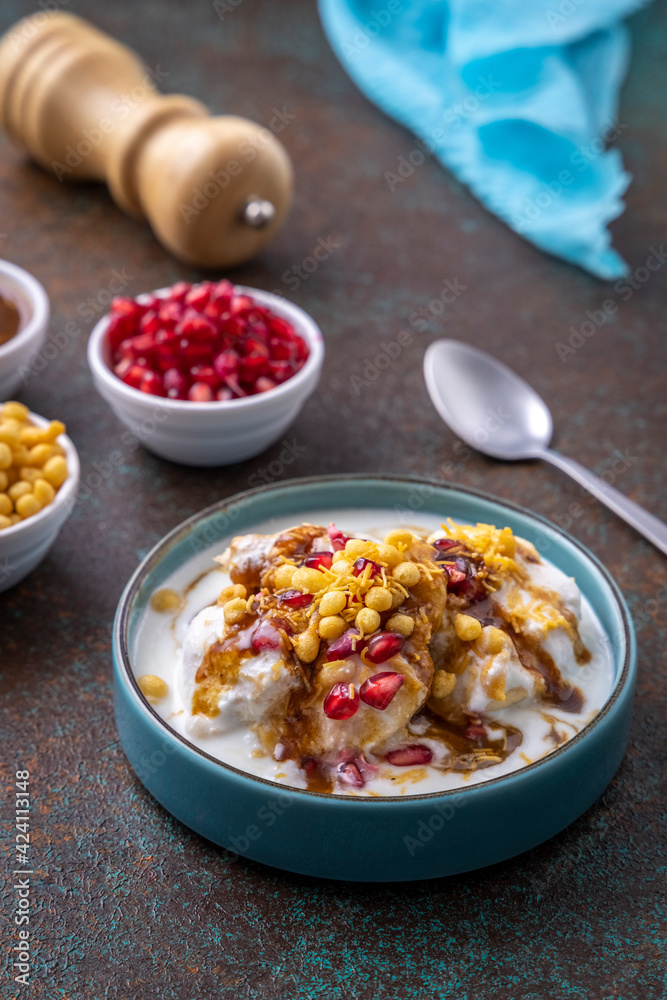 Indian tasty street food Dahi Bhalla or Dahi Vada garnished with tamarind sauce and pomegranate seeds Indian tasty street food Dahi Bhalla or Dahi Vada garnished with tamarind sauce and pomegranate seeds