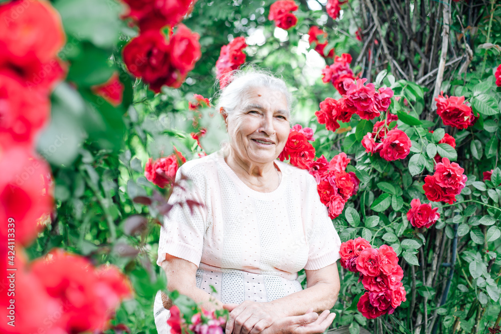 portrait of a cheerful gray-haired old woman sitting on a bench under the arch of a wild rose in the park, entertainment in retirement. portrait of a cheerful gray-haired old woman sitting on a bench under the arch of a wild rose in the park, entertainment in retirement.
