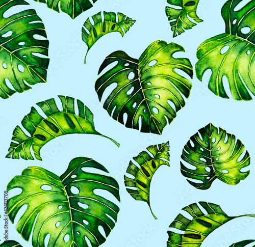 Seamless pattern of leaves monstera. Tropical leaves of palm tree. background.