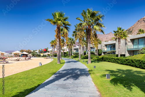 Fototapeta Naklejka Na Ścianę i Meble -  Palm trees in alley of beautiful beach in tropical resort with sunbeds and umbrellas in Mediterranean sea, Bodrum, Turkey	