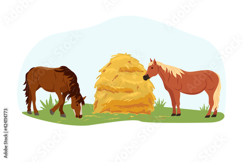 Two horses eat hay from the trough on the farm. Country pet. Isolated character on a white background. Vector illustration in a flat style