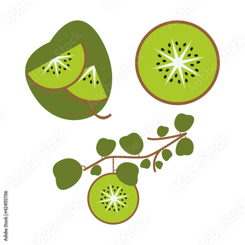 Set of kiwi elements.