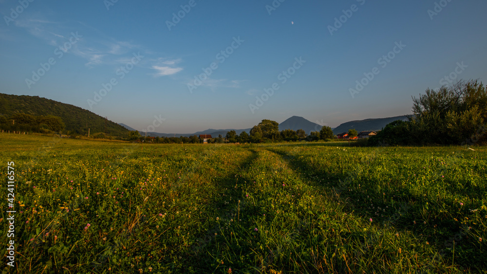 landscape on the field