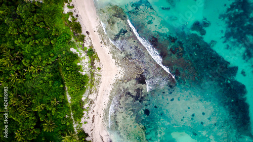 aerial shot of tropical beach