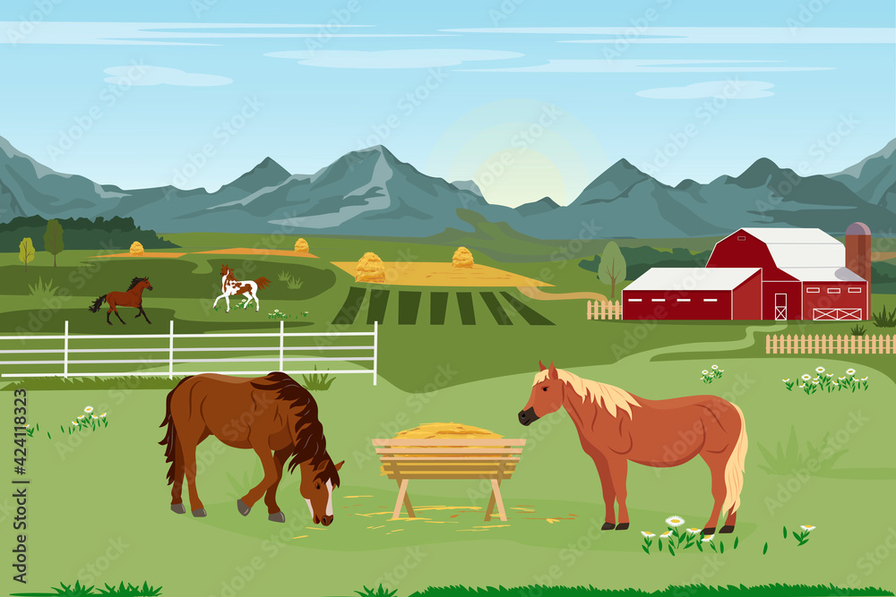 Vector illustration of a horse farm and agriculture. Horse breeding