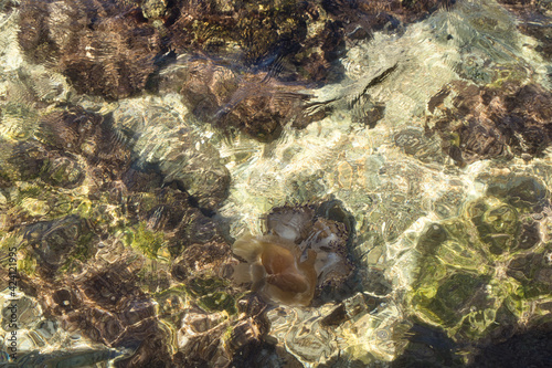 Abstract shapes on the ocean floor beneath ripples in the water at Prajjet Bay in Malta. photo