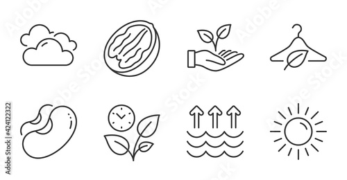 Leaves, Pecan nut and Slow fashion line icons set. Evaporation, Beans and Cloudy weather signs. Sun, Helping hand symbols. Grow plant, Vegetarian food, Eco tested. Nature set. Vector