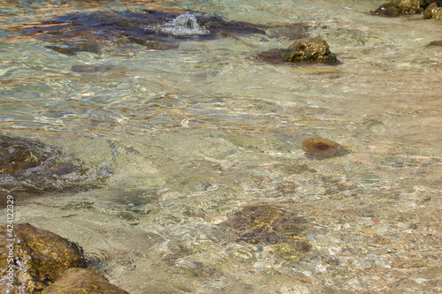 Jellyfish floating in the calm, clear water of Prajjet Bay on a warm fall day in Malta. photo