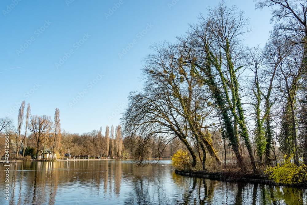 Obraz premium Lake Kleinhesseloher in the English Garden in Munich in Golden Evening Light