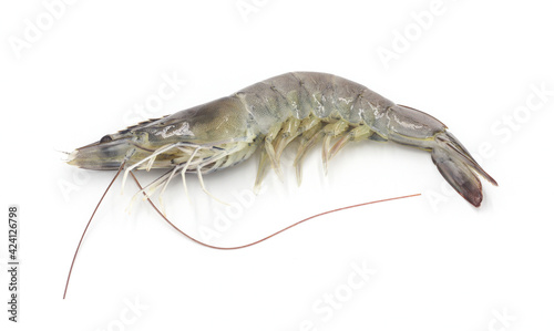 Fresh shrimp isolated on white background seafood tiger prawn © WITCHA