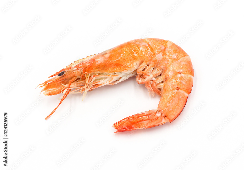Fresh shrimp isolated on white background seafood tiger prawn Fresh shrimp isolated on white background seafood tiger prawn