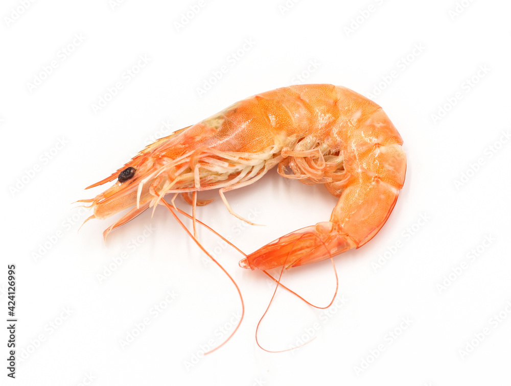 Fresh shrimp isolated on white background seafood tiger prawn Fresh shrimp isolated on white background seafood tiger prawn