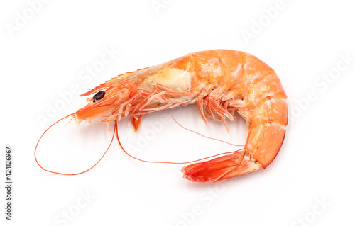 Fresh shrimp isolated on white background seafood tiger prawn