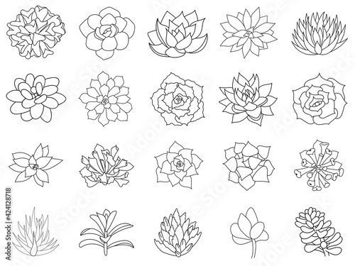 Hand drawn set succulent in style outline doodle. Graphics sketch home desert flower. Vector illustration, isolated black elements on a white background.