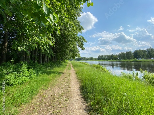 forest
