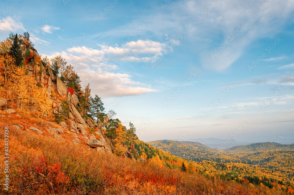 View of the mountain taiga in the autumn forest among colorful trees in the mountains in bright sunny weather in Kolyvan, Altai