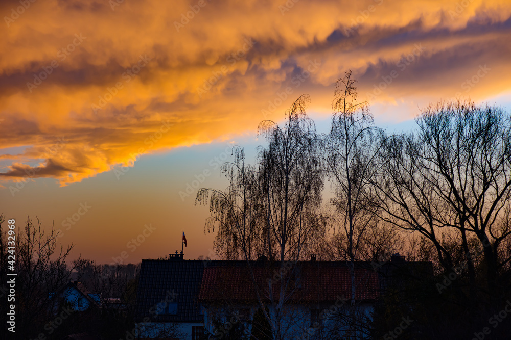Rural landscape with a houses and trees at sunset. Rural landscape with a houses and trees at sunset.