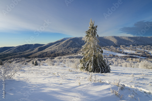 Fototapeta Naklejka Na Ścianę i Meble -  winter mountain landscape of the Bieszczady Mountains