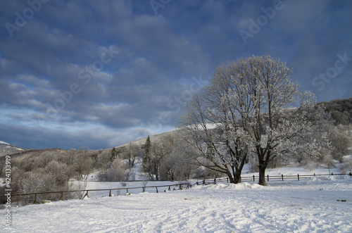 Fototapeta Naklejka Na Ścianę i Meble -  winter mountain landscape of the Bieszczady Mountains