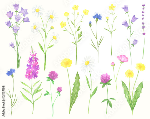 Watercolor Wildflowers Set © Кристина Зюкова