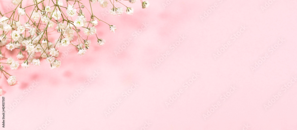 Pastel pink festive banner with gentle white gypsophila flowers. Copy space for text. Pastel pink festive banner with gentle white gypsophila flowers. Copy space for text.