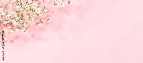 Pastel pink festive banner with gentle white gypsophila flowers. Copy space for text.