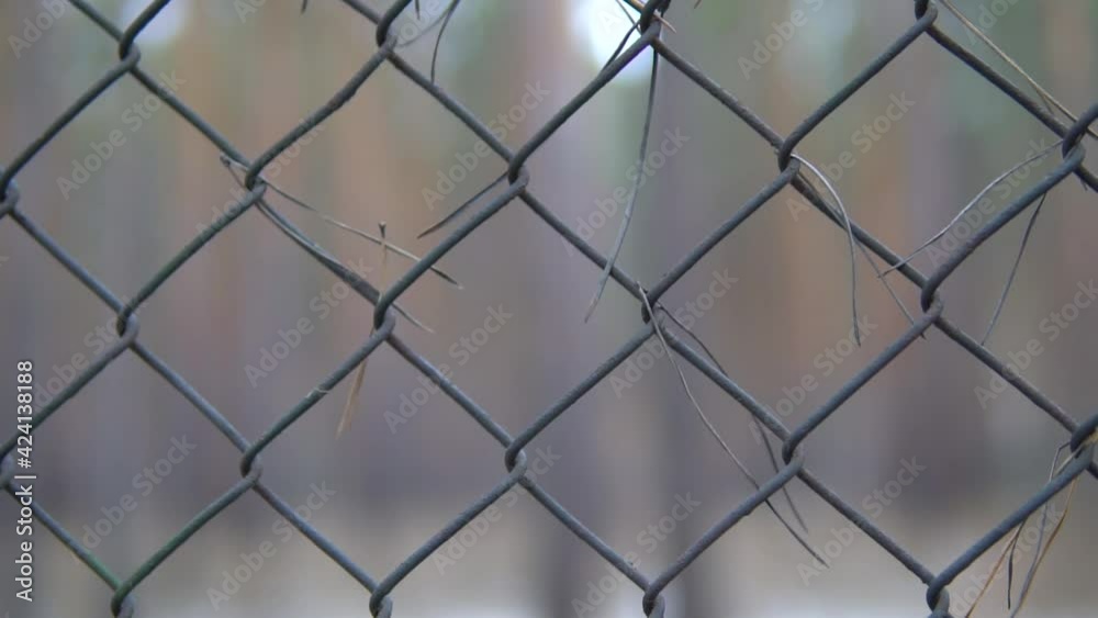 Chain link pattern. Metal wire mesh fence at cloudy day with blurred background. Dark and secured area. Slow motion macro right direction pan.